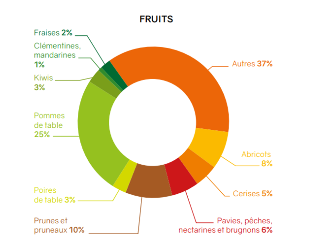 Les chiffres économiques sur la production de Fruits & France