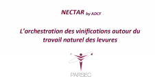Nectar ACDF - Parsec